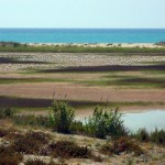 delta del llobregat