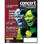 concret independencia