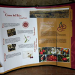 cireres sta coloma 3