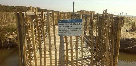 El pont del remolar tanca per nidificació