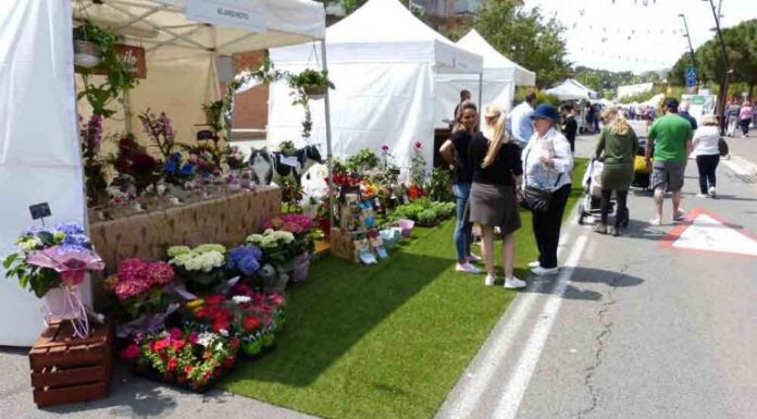 Descobrint les novetats de la Fira d’Espàrrecs de Gavà