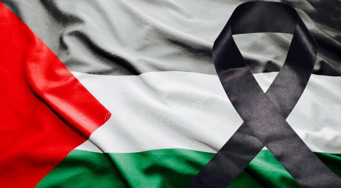 El Baix Llobregat acull concentracions en solidaritat amb el poble palestí