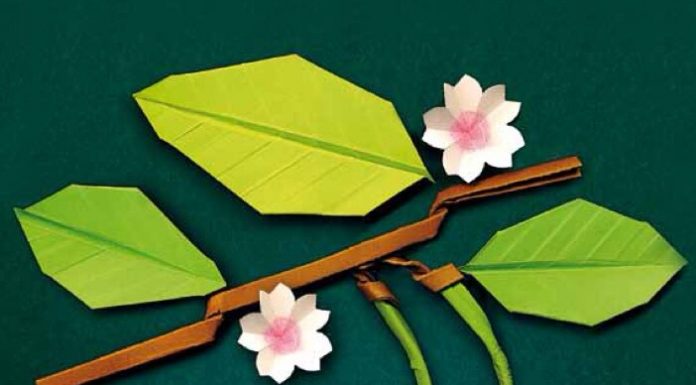 Aquest cap de setmana, més cireres al Baix Llobregat amb la 33a Festa de la Cirera de Santa Coloma de Cervelló