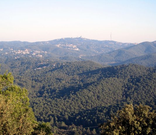 Aprovat definitivament el Pla especial de Protecció del medi natural i del paisatge del Parc Natural de la Serra de Collserola