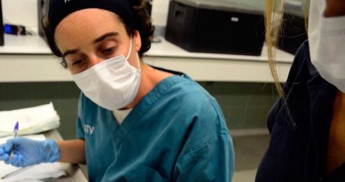 Comencen a néixer al CRAM del Prat les tortugues dels ous postos a la platja de Mataró