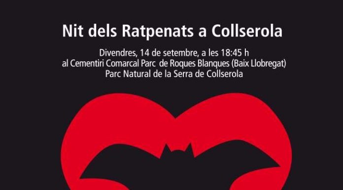 Nit dels ratpenats al Cementiri Comarcal Parc de Roques Blanques
