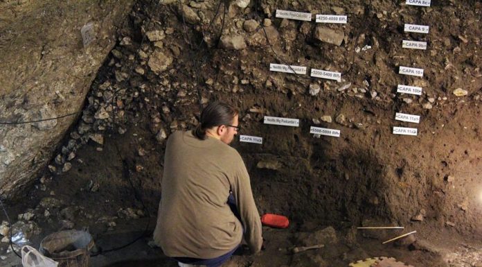 Dos estudis sobre la baixllobregatina cova de Can Sadurní, al congrés anual de l’Associació Europea d’Arqueòlegs