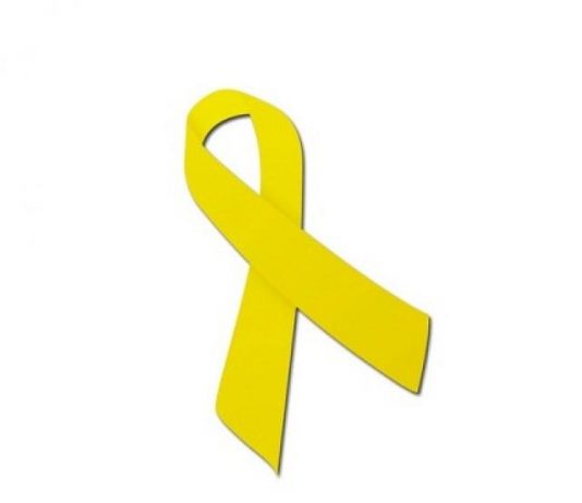 Un any d’actes i mobilitzacions constants per la llibertat dels presos i preses independentistes