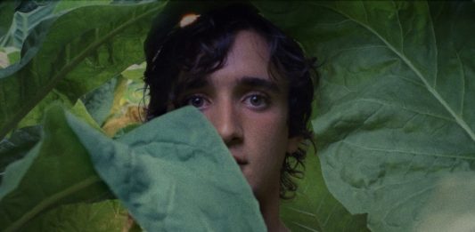 Diumenge de cinema: “Lazzaro feliz” d’Alice Rohrwacher