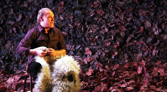 Sant Joan Despí arrenca la temporada amb una trentena d’espectacles per a tots els públics