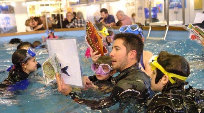 El Mediterranean Diving Show s’acomiada de Cornellà fins 2020