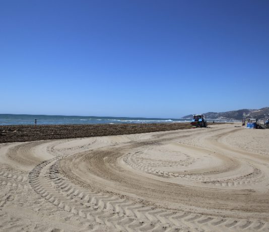 Les platges metropolitanes es posen a punt per la temporada de bany