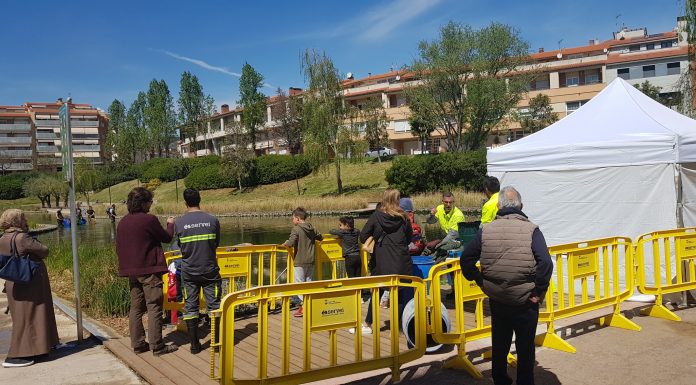 L’Ajuntament d’Olesa dona en adopció més de 500 peixos que hi havia al llac del Parc Municipal