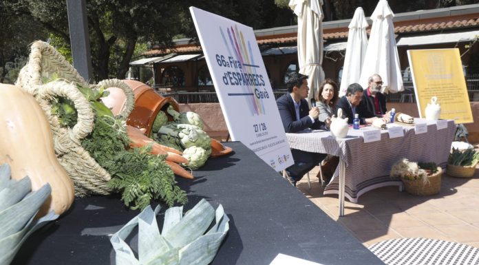 Gavà celebra la 66a Fira d’Espàrrecs i la 6a edició de GastroGavà
