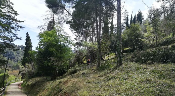 S’inicien els treballs de manteniment i obertura de franges de protecció contra incendis