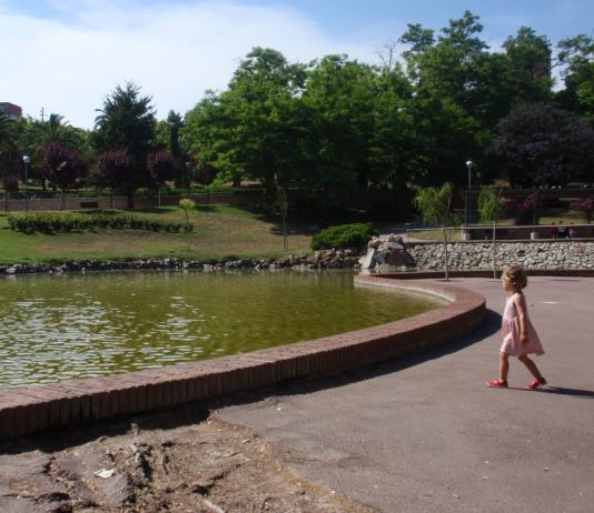 Pla per salvar els ànecs del parc de Can Mercader a Cornellà