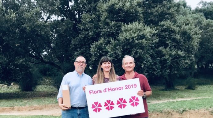 Sant Feliu primera ciutat del Baix Llobregat que aconsegueix la quarta flor d’honor de Viles Florides