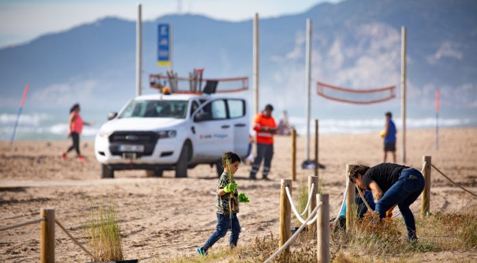 Torna una nova edició de l’”Acció Platges Met” al litoral metropolità