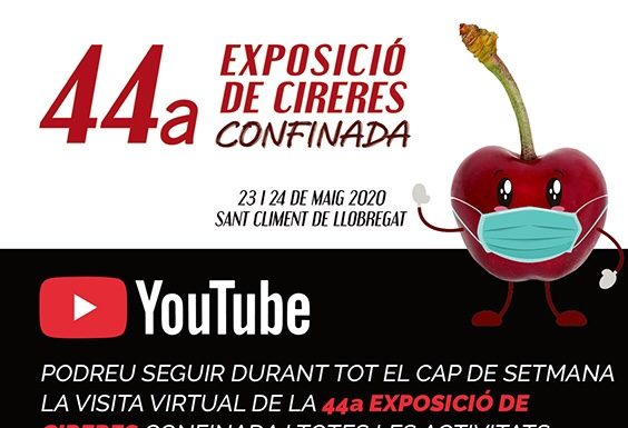 Recta final per a la 44ª Exposició de Cireres de Sant Climent, confinada