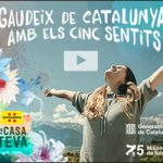 B2B29ADC-4644-4196-90BF-6836F2CE4E26