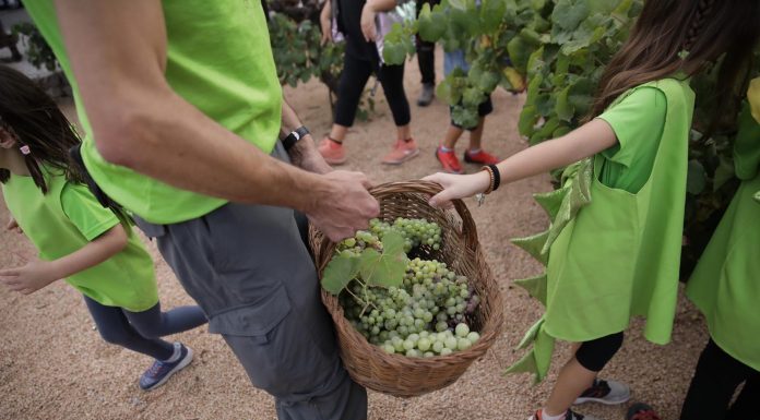 Es cancel·la la Festa del Roser de Martorell i es prorroga la suspensió d’actes a la via pública