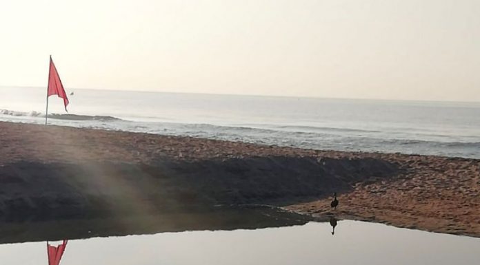 Bandera vermella a la platja de la Pineda de Castelldefels per possible afectació de la qualitat de l’aigua
