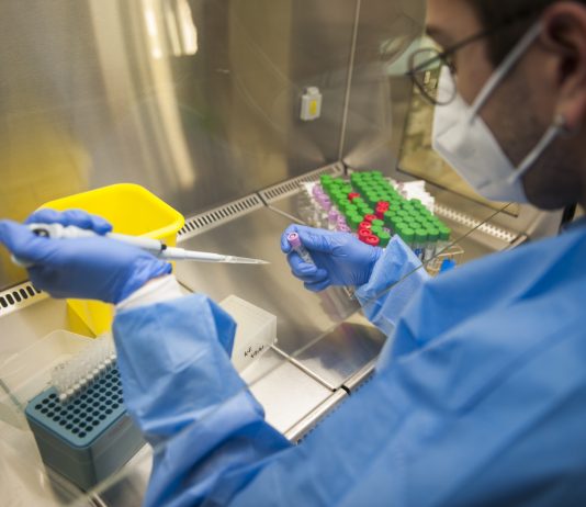 La variant britànica ja causa el 13% de tots els casos de Covid-19 a l’àrea metropolitana sud de Barcelona L’augment de la seva presència és continu des de fa cinc setmanes