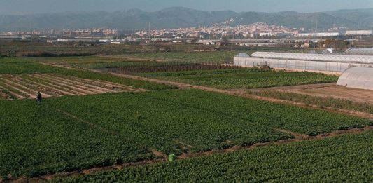 El programa d’En Comú Podem, seguit dels de la CUP i ERC, els que més s’apropen a les propostes de SOS Baix Llobregat i L’Hospitalet