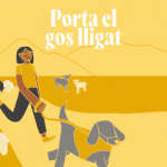 1FDFD75D-1C7B-4A6A-B231-AD5376746013