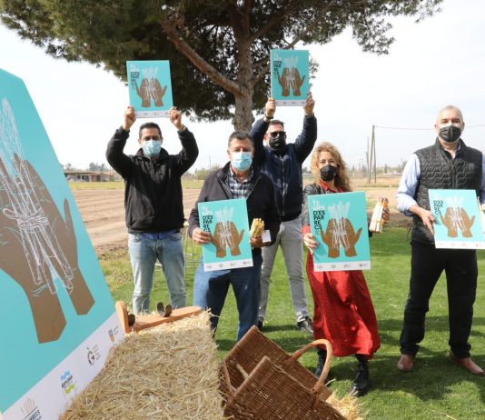 “Temps d’Espàrrecs”, l’essència de la Fira de Gavà adaptada a les restriccions per la COVID