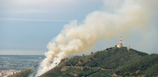 L’incendi de Collserola va cremar tres hectàrees