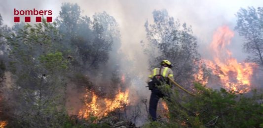 L’AMB i els bombers de la Generalitat sumen forces per col·laborar en mesures de prevenció contra els incendis forestals