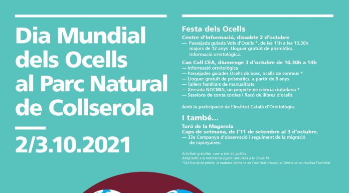 El Parc de Collserola viu el Dia Mundial dels Ocells