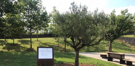 L’Ajuntament de Viladecans denuncia el vandalisme contra la placa per a les víctimes de la covid-19