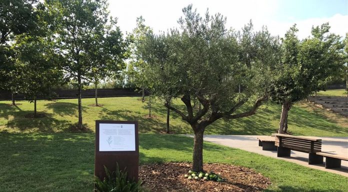 L’Ajuntament de Viladecans denuncia el vandalisme contra la placa per a les víctimes de la covid-19