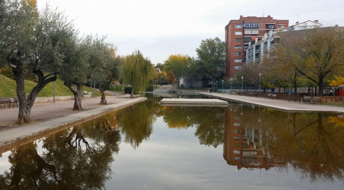 Els Agents Rurals investiguen l’aparició de cargol poma en un llac artificial d’Olesa