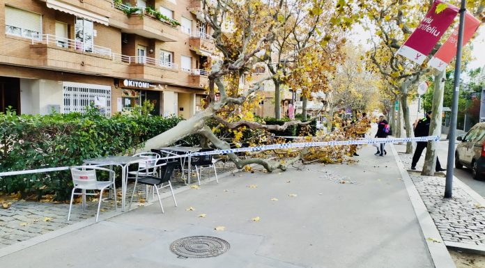 Un diumenge amb més de 100 avisos als Bombers pel fort vent a l’Anoia, Penedès i Baix Llobregat
