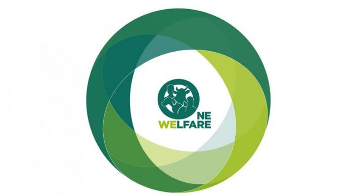 Què és “One Welfare”? Acte de Movem Castelldefels sobre el benestar animal