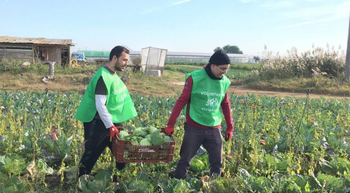 L’Institut de Drets Humans premia la Fundació Espigoladors i el digital Crític