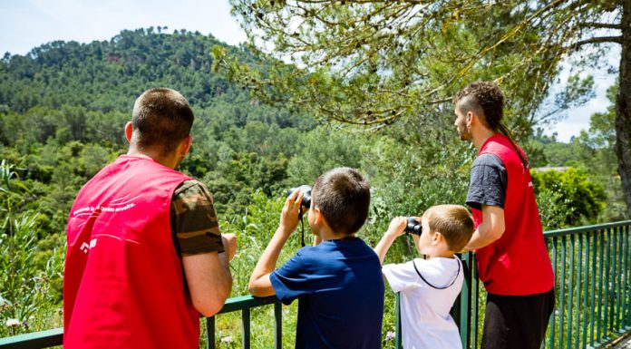 L’AMB organitza 70 activitats a parcs, platges i rius