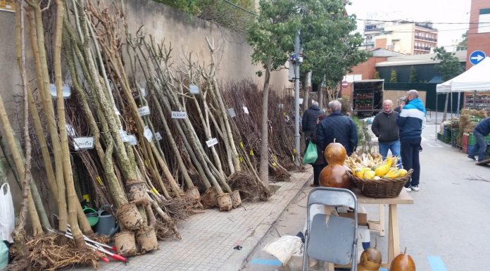 El President Aragonès visita la Fira de la Candelera de Molins de Rei sense convocatòria als mitjans