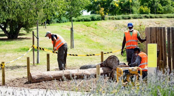 Reconeixement de les Nacions Unides a l’AMB per la gestió dels boscos urbans