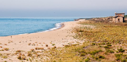 L’AMB gestionarà al juny les platges protegides del delta del Llobregat