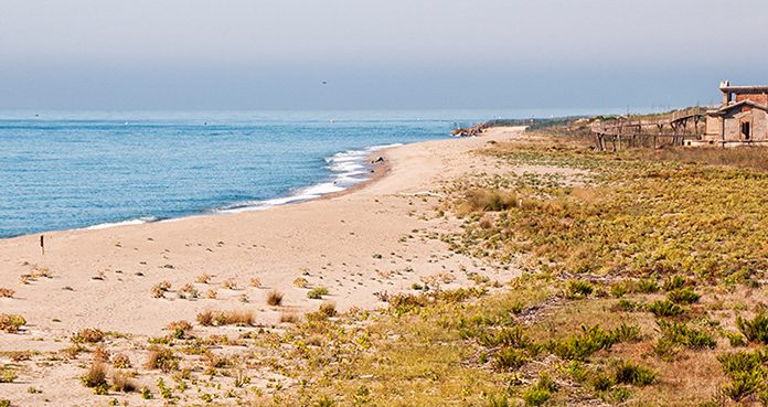 L’AMB gestionarà al juny les platges protegides del delta del Llobregat
