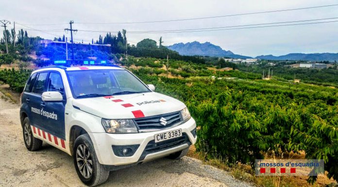 Dispositiu dels Mossos per evitar robatoris als conreus de la comarca