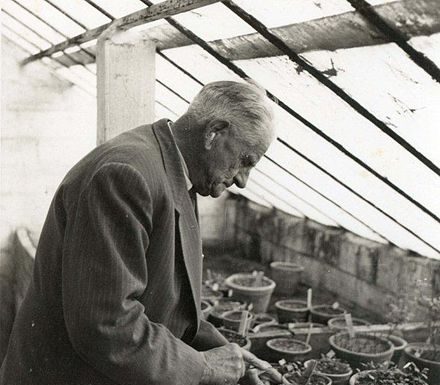 Tornen les roses, torna l’Exposició Nacional de Roses. Pels Amics de les Roses