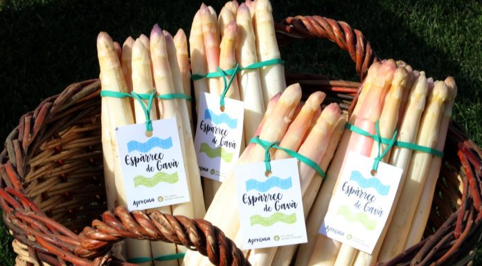 L’Ajuntament de Gavà destaca l’èxit de públic a la Fira de l’Espàrrec