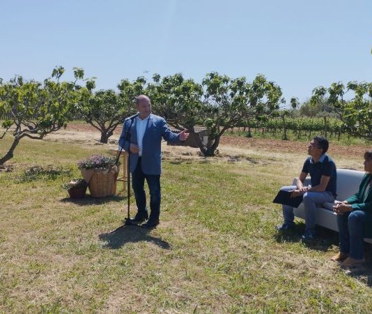 Ecologistes en Acció i Unió de Pagesos s’oposen al projecte de hub agroalimentari de Gavà, Viladecans i Sant Boi