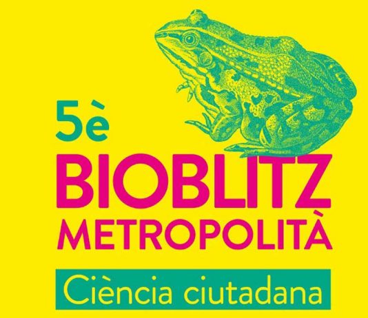 Bioblitz: Vols fer inventari d’animals i plantes a parcs i platges ?