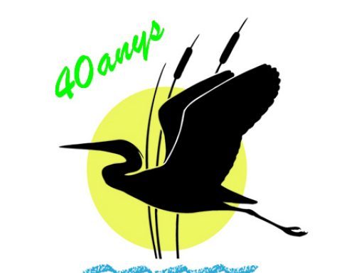 DEPANA també diu NO al Hub al Parc Agrari: “Volem un model tipus El Ejido?”